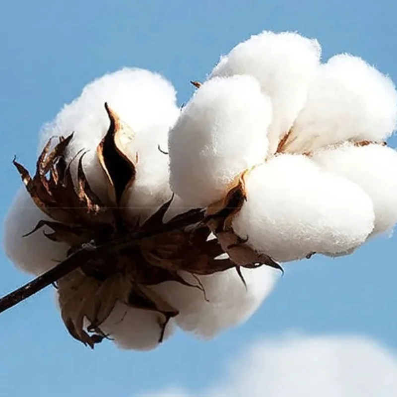 Naruto Itachi Uchiha Czerwony  – Street Fashion Of Japan recenzja i cena